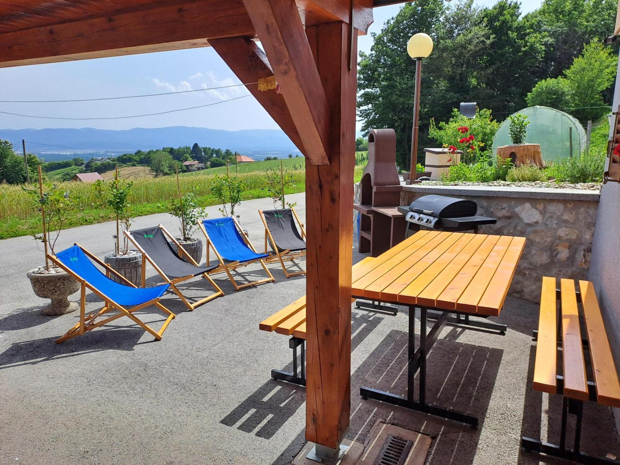 Apartments Jernej With Onsite Wellness Brežice Buitenkant foto